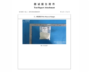 檢測報告